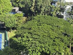 Regency Park (D10), Condominium #581397011